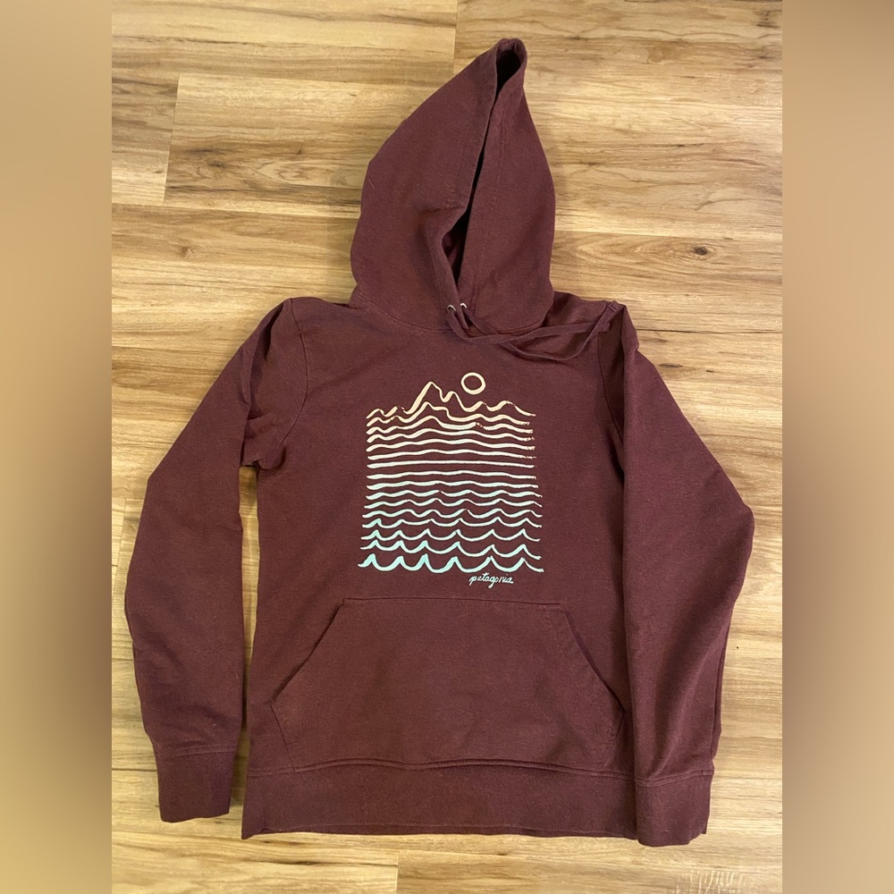 Patagonia Women’s Hoodie Sweatshirt- Size Small